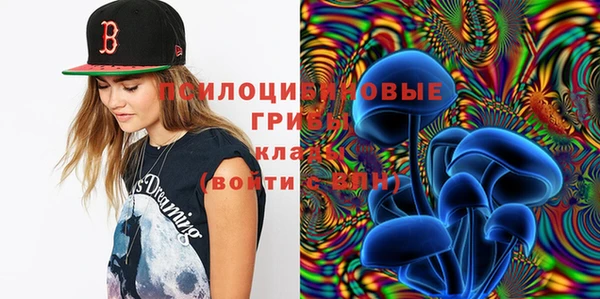 меф Приозерск