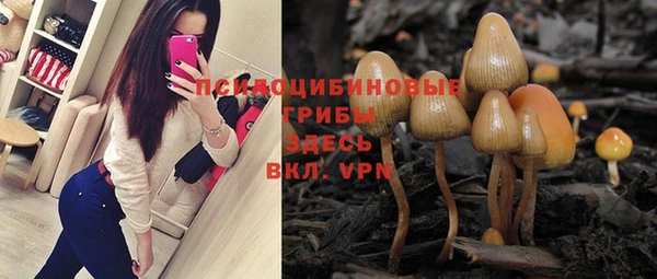 кристаллы Покачи