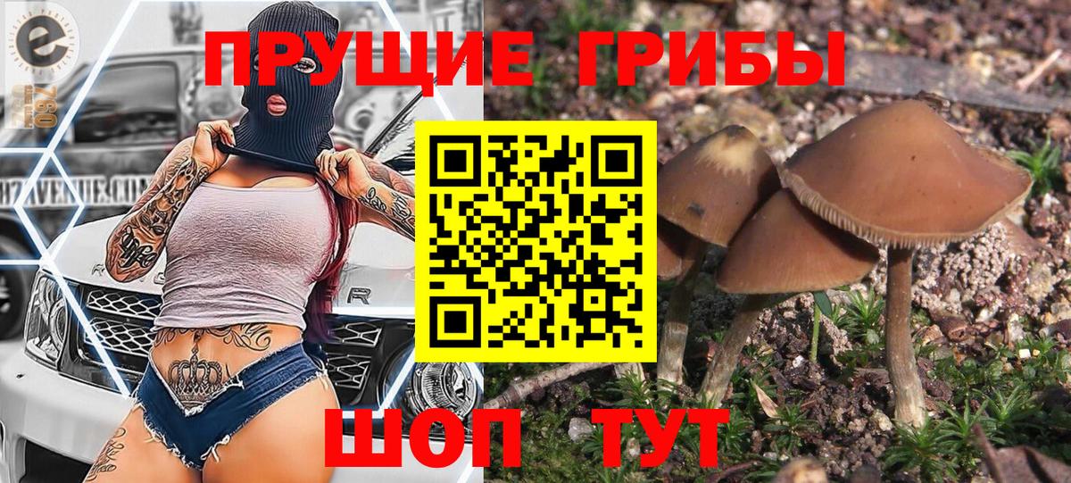 Вольск  Псилоцибиновые грибы мицелий  Вход с VPN 