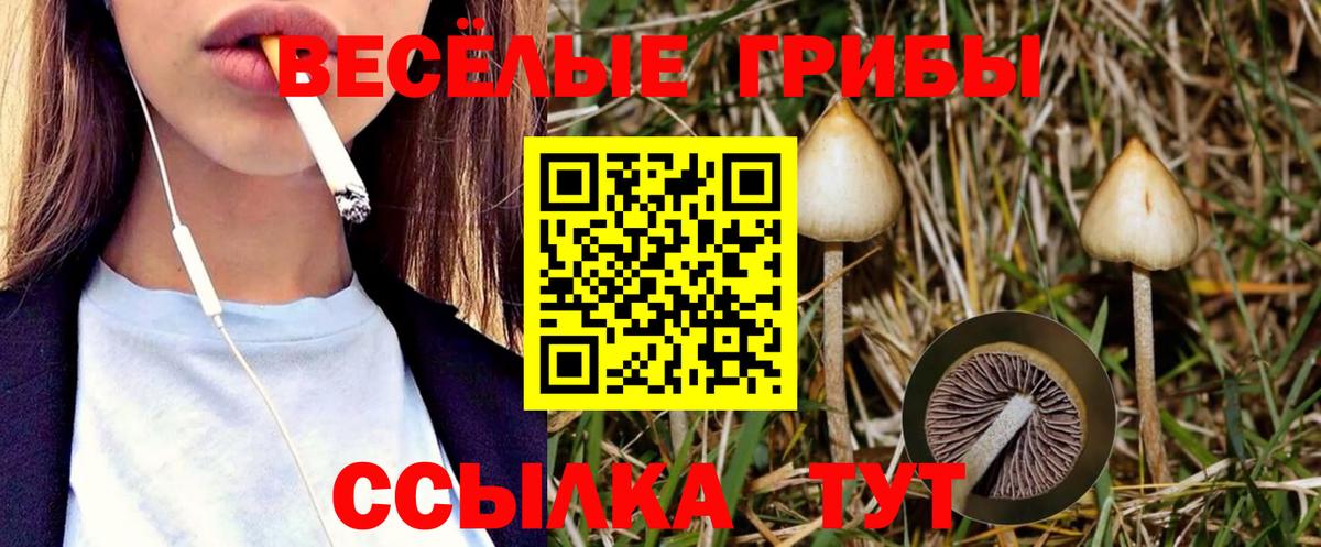 Псилоцибиновые грибы MAGIC MUSHROOMS Вольск