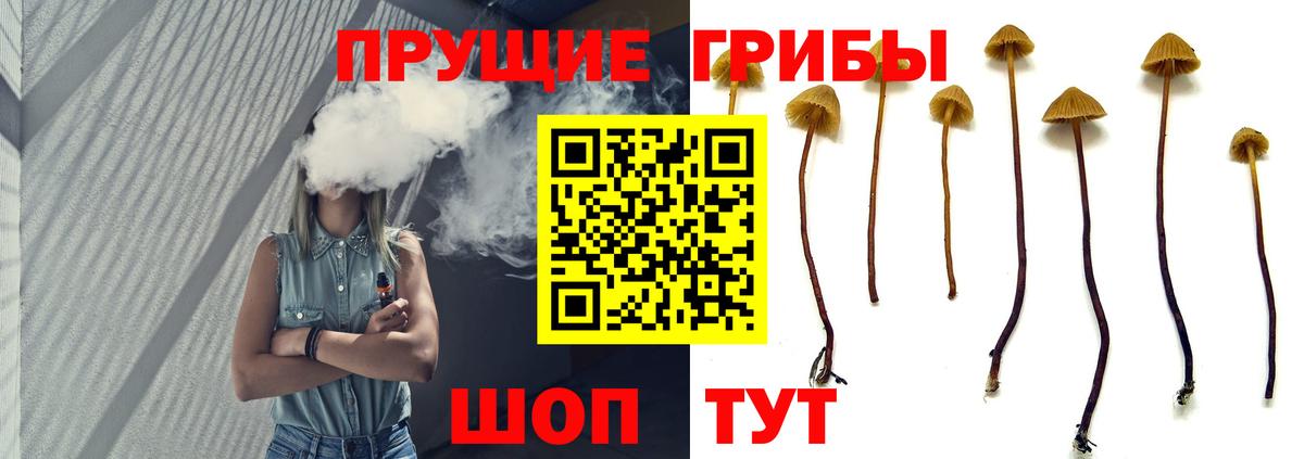 Галлюциногенные грибы мухоморы Вольск